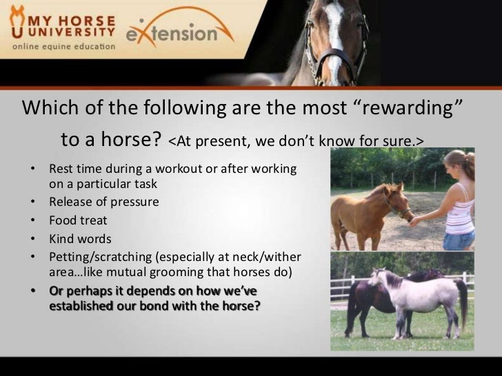 The Horse Fair Analysis
