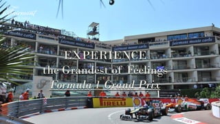 EXPERIENCE
the Grandest of Feelings
Formula 1 Grand Prix
 