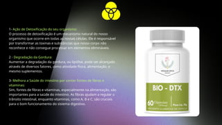 1- Ação de Detoxificação do seu organismo:
O processo de detoxificação é um mecanismo natural do nosso
organismo que ocorre em todas as nossas células. Ele é responsável
por transformar as toxinas e substâncias que nosso corpo não
reconhece e não consegue processar em elementos elimináveis.
2 - Degradação da Gordura:
Aumentar a degradação da gordura, ou lipólise, pode ser alcançado
através de diversos fatores, como atividade física, alimentação, e
mesmo suplementos.
3- Melhora a Saúde do intestino por conter fontes de fibras e
vitaminas:
Sim, fontes de fibras e vitaminas, especialmente na alimentação, são
importantes para a saúde do intestino. As fibras ajudam a regular o
trânsito intestinal, enquanto vitaminas, como A, B e C, são cruciais
para o bom funcionamento do sistema digestivo.
 