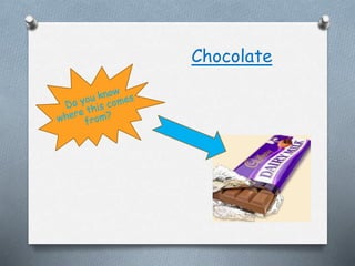Chocolate
 