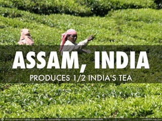 Fair trade assembly sept 2013