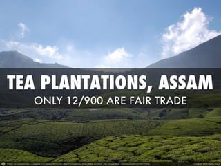 Fair trade assembly sept 2013