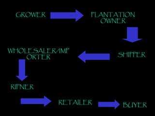 GROWER PLANTATION OWNER SHIPPER WHOLESALER/IMPORTER RIPNER RETAILER BUYER 
