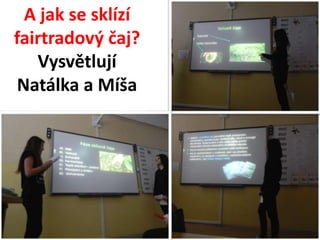 A jak se sklízí 
fairtradový čaj? 
Vysvětlují 
Natálka a Míša 
 