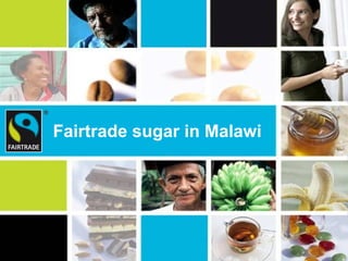 Fairtrade sugar in Malawi
 