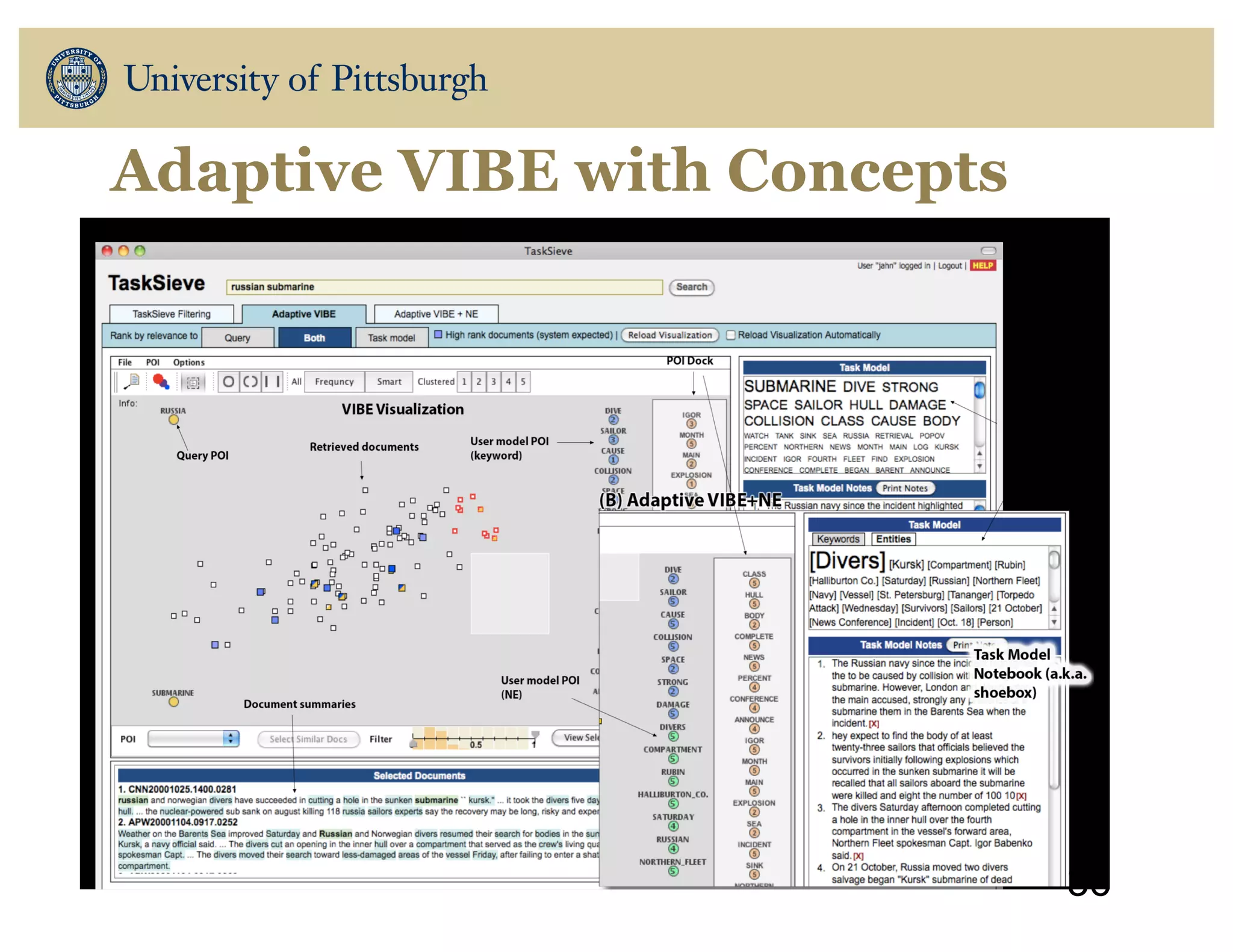 Adaptive VIBE with Concepts
36
 