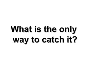 What is the only  way to catch it? 