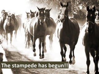 The stampede has begun!! 