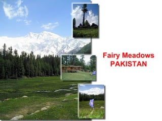 Fairy Meadows PAKISTAN 