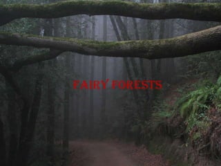 Fairy forests
 