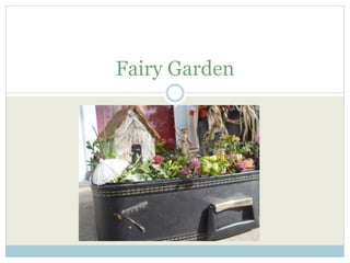 Fairy Garden 
 