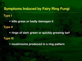 Fairy Ring Prevention and Management in Golf Course Putting Greens