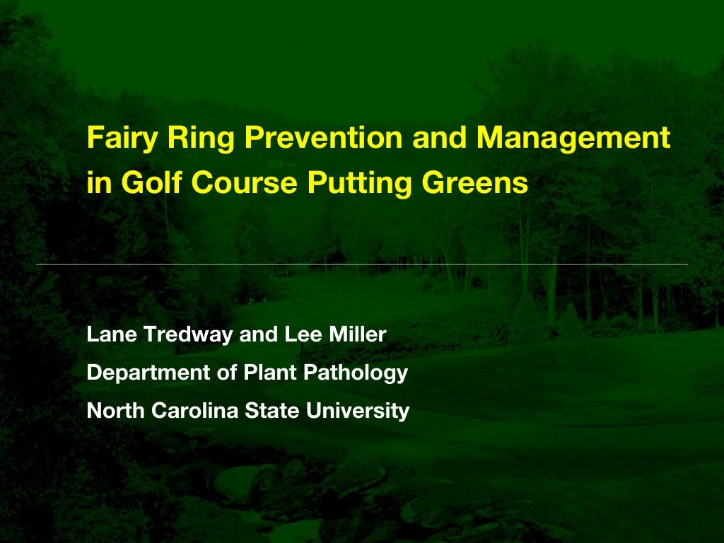Fairy Ring Prevention and Management in Golf Course Putting Greens