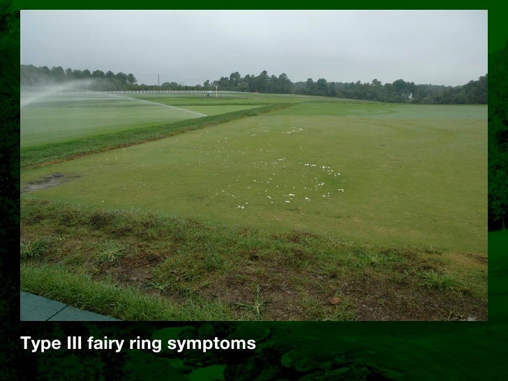 Fairy Ring Prevention Fairy Ring Prevention