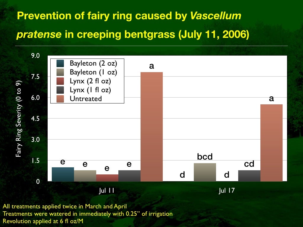 Fairy Ring Prevention and Management in Golf Course Putting Greens