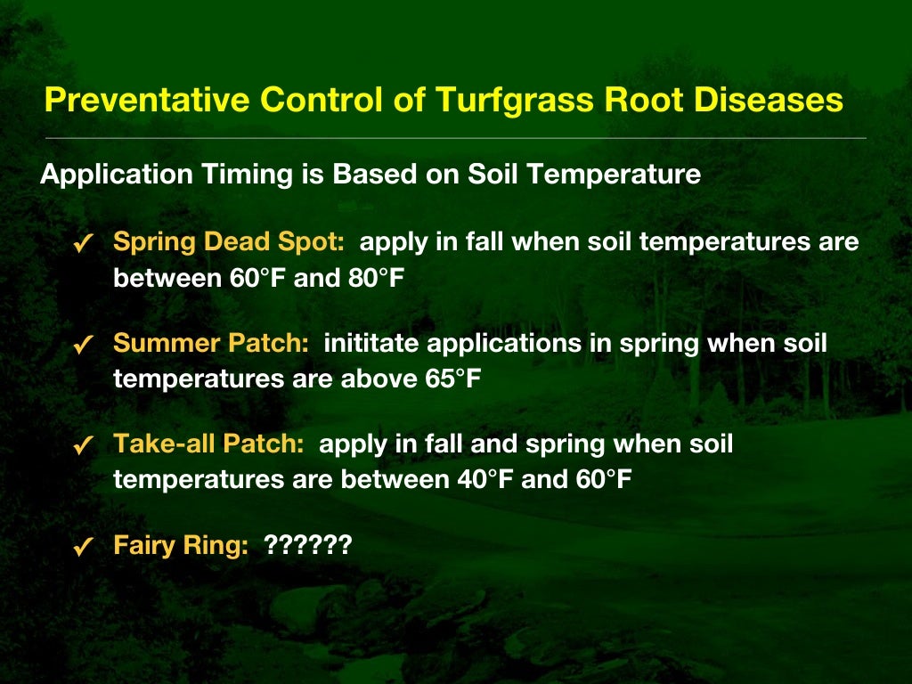 Fairy Ring Prevention and Management in Golf Course Putting Greens