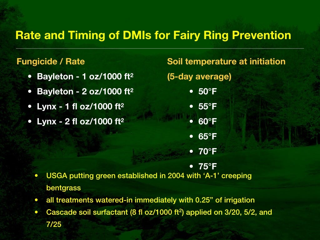 Fairy Ring Prevention and Management in Golf Course Putting Greens