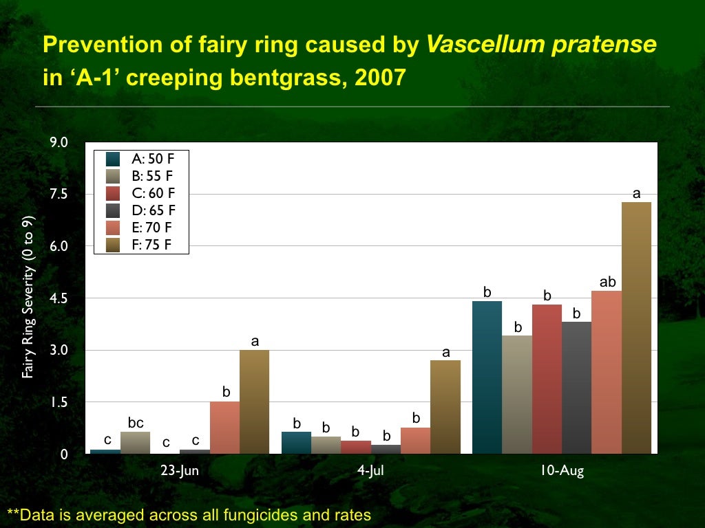 Fairy Ring Prevention and Management in Golf Course Putting Greens