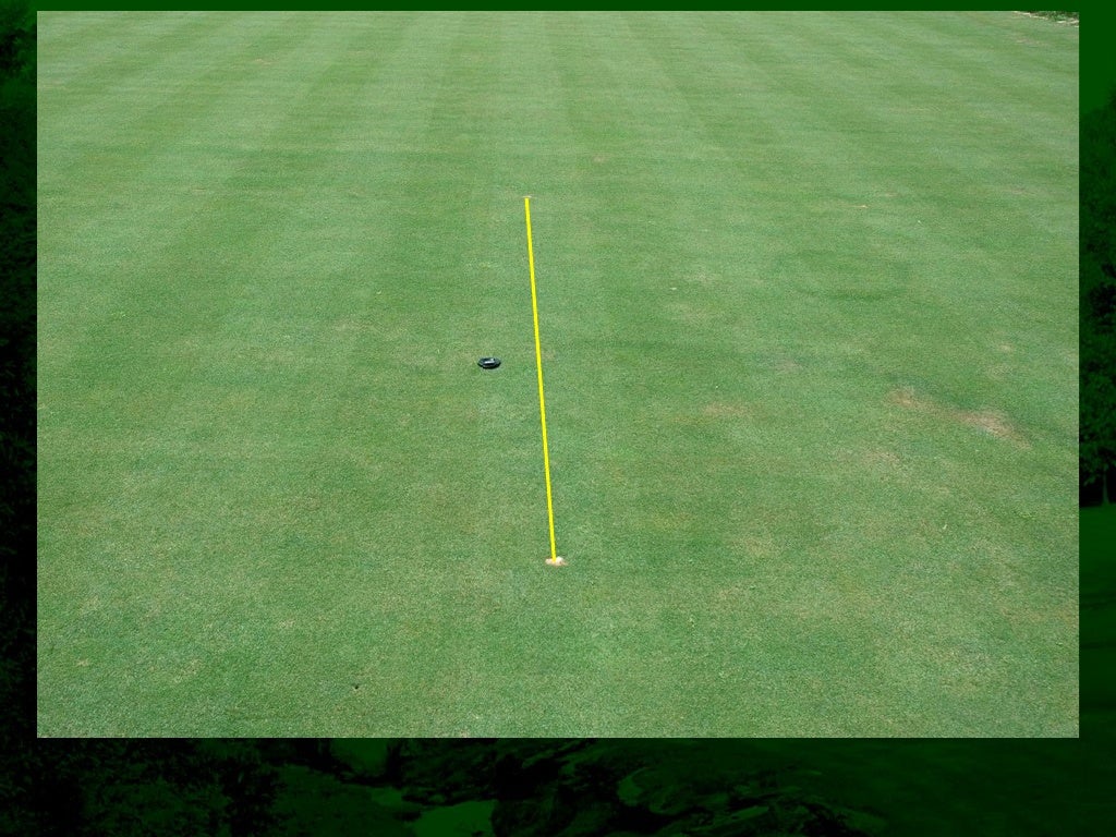 Fairy Ring Prevention and Management in Golf Course Putting Greens