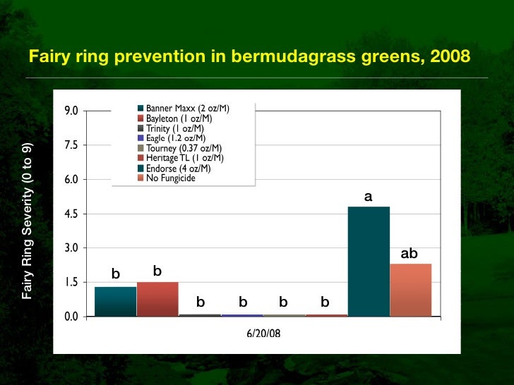 Fairy Ring Prevention and Management in Golf Course Putting Greens