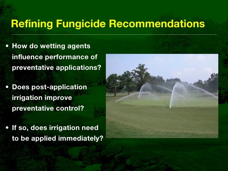 Fairy Ring Prevention and Management in Golf Course Putting Greens