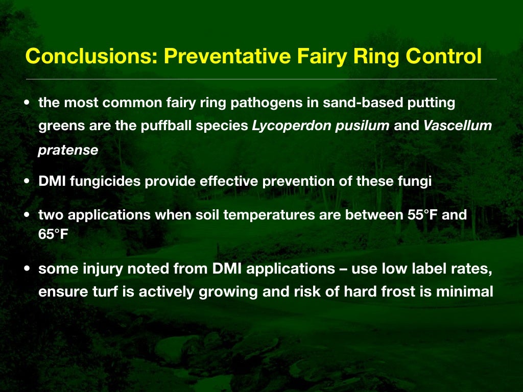 Fairy Ring Prevention and Management in Golf Course Putting Greens