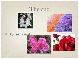 The end



Hope you enjoyed....
 