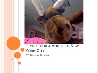If you took a moose to New York City BY: Marissa Brostek 