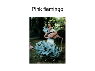 Pink flamingo
 