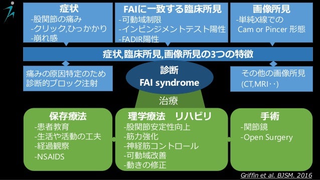 Femoroacetabular Impingement Syndrome Fais 大腿骨寛骨臼インピンジメント症候群の理学療法関連の