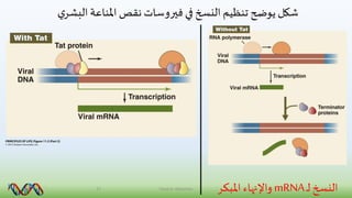 ‫ي‬‫البشر‬‫املناعة‬ ‫نقص‬ ‫فيروسات‬‫في‬ ‫النسخ‬ ‫تنظيم‬ ‫يوضح‬‫شكل‬
‫ـ‬‫ل‬ ‫النسخ‬mRNA‫املبك‬ ‫واإلنهاء‬‫ر‬27 Faisal A. Alshamiry
 