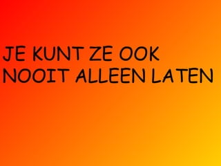 JE KUNT ZE OOK NOOIT ALLEEN LATEN 