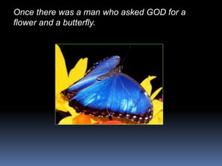 Once there was a man who asked GOD for a
flower and a butterfly.
 
