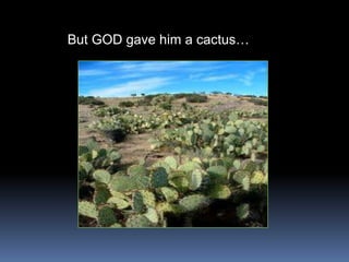 But GOD gave him a cactus…
 