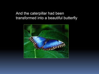 And the caterpillar had been
transformed into a beautiful butterfly
 