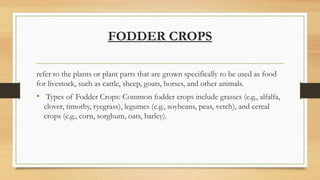 Animal Feeds in livestock nutrition. An introduction | PPTX