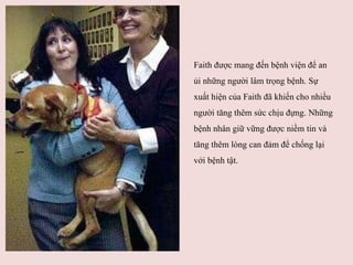 Faith được mang đến bệnh viện để an ủi những người lâm trọng bệnh.  Sự xuất hiện của Faith đã khiến c h o nhiều người tăng thêm sức chịu đựng. Những bệnh nhân giữ vững được niềm tin và tăng thêm lòng can đảm để chống lại với bệnh tật.  