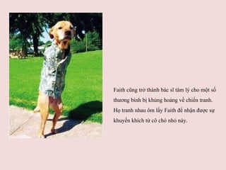 Faith cũng trở thành bác sĩ tâm lý cho một số thương binh bị khủng hoảng về chiến tranh. Họ tranh nhau ôm lấy Faith để nhận được sự khuyến khích từ cô chó nhỏ này.  