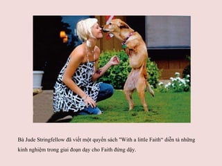 Bà Jude Stringfellow đã viết một quyển sách "With a little Faith“ diễn tả những kinh nghiệm trong giai đoạn dạy cho Faith đứng dậy. 