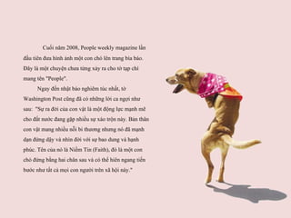 Cuối năm 2008, People weekly magazine lần đầu tiên đưa hình ảnh một con chó lên trang bìa báo. Đây là một chuyện chưa từng xảy ra cho tờ tạp chí mang tên "People".   Ngay đến nhật báo nghiêm túc nhất, tờ Washington Post cũng đã có những lời ca ngợi như sau:  "Sự ra đời của con vật là một động lực mạnh mẽ cho đất nước đang gặp nhiều sự xáo trộn này. Bản thân con vật mang nhiều nỗi bi thương nhưng nó đã mạnh dạn đứng dậy và nhìn đời với sự bao dung và hạnh phúc. Tên của nó là Niềm Tin  ( Faith ) , đó là một con chó đứng bằng hai chân sau và có thể hiên ngang tiến bước như tất cả mọi con người trên xã hội này."  