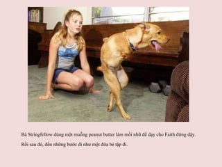 Bà Stringfellow dùng một muỗng peanut butter làm mồi nhữ để dạy cho Faith đứng dậy. Rồi sau đó, đến những bước đi như một đứa bé tập đi.   