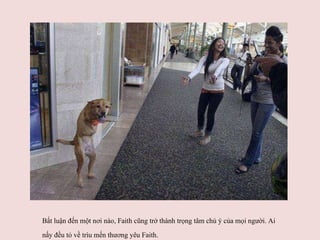 Bất luận đến một nơi nào, Faith cũng trở thành trọng tâm chú ý của mọi người. Ai nấy đều tỏ về trìu mến thương yêu Faith.   