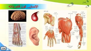 ‫اإلنسان‬..‫بذاته‬ ‫قائم‬ ‫كون‬
116
 