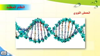 ‫المعقــد‬ ‫النظام‬
‫النووي‬ ‫الحمض‬
153
 