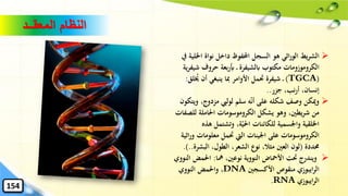 ➢‫اْل‬ ‫نواة‬ ‫داخل‬ ‫احملفوظ‬ ‫السجل‬ ‫هو‬ ‫اثي‬‫ر‬‫الو‬ ‫يط‬‫ر‬‫الش‬‫يف‬ ‫لية‬
‫الكروموزومات‬‫حروف‬ ‫بعة‬‫ر‬‫أب‬ ‫ابلشيفرة‬ ‫مكتوب‬‫ش‬‫ية‬‫ر‬‫يف‬
(TGCA)ُ‫خي‬ ‫أن‬ ‫ينبغي‬ ‫ِبا‬ ‫األوامر‬ ‫َتمل‬ ‫شيفرة‬‫لق‬:
‫جزر‬ ،‫نب‬‫ر‬‫أ‬ ،‫إنسان‬..
➢‫و‬ ،‫مزدوج‬ ‫لوليب‬ ‫سلم‬ ‫ه‬‫أن‬ ‫على‬ ‫شكله‬ ‫وصف‬ ‫وميكن‬‫يتكون‬
‫للص‬ ‫احلاملة‬ ‫الكروموسومات‬ ‫يشكل‬ ‫وهو‬ ،‫يطني‬‫ر‬‫ش‬ ‫من‬‫فات‬
‫ه‬ ‫وتشتمل‬ ،‫ة‬‫احلي‬ ‫للكائنات‬ ‫واْلسمية‬ ‫اْللقية‬‫ذه‬
‫معلومات‬ ‫َتمل‬ ‫اليت‬ ‫اْلينات‬ ‫على‬ ‫الكروموسومات‬‫اثية‬‫ر‬‫و‬
‫حمددة‬(‫البشر‬ ،‫الطول‬ ،‫الشعر‬ ‫نوع‬ ،‫مثال‬ ‫العني‬ ‫لون‬‫ة‬.)..
➢‫مها‬ ،‫نوعني‬ ‫النووية‬ ‫األمحاض‬ ‫َتت‬ ‫ويندرج‬:‫احلمض‬‫النووي‬
‫ايبوزي‬‫ر‬‫ال‬‫األكسجني‬ ‫منقوص‬DNA،‫النووي‬ ‫واحلمض‬
‫ايبوزي‬‫ر‬‫ال‬RNA.
‫المعقــد‬ ‫النظام‬
154
 