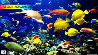 ‫للبحار‬ ‫الداخلي‬ ‫العالم‬:‫فنية‬ ‫تحف‬
32
 