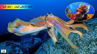 ‫للبحار‬ ‫الداخلي‬ ‫العالم‬:‫فنية‬ ‫تحف‬
33
 