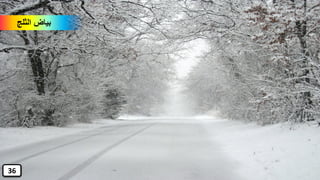 ‫الثلج‬ ‫بياض‬
36
 