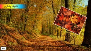 ‫واأللوان‬ ‫الغابات‬
48
 