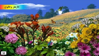 ‫واأللوان‬ ‫األزهار‬
50
 